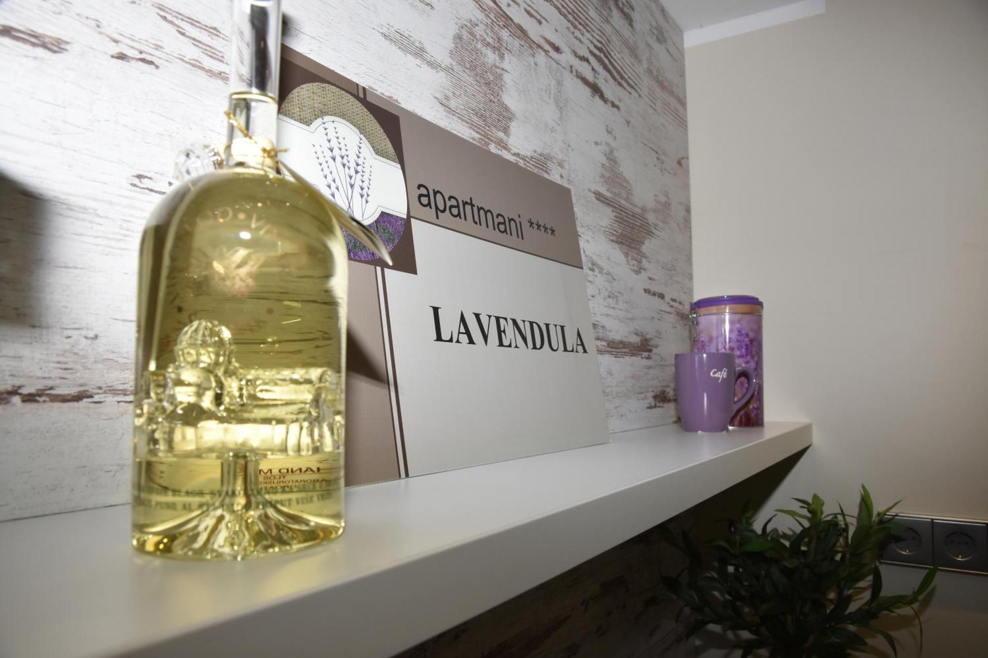 Lavendula